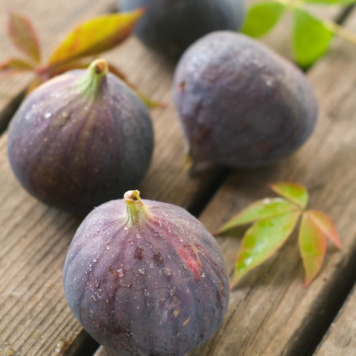 Photo of figs | Sinplicity Catering Menu
